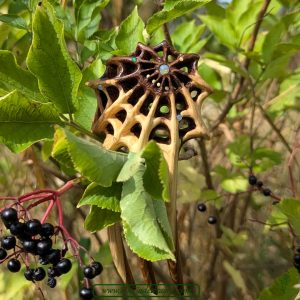 Spinnennetz Haarforke mit Opalen