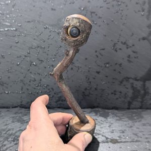 Bewegliches Auge aus Holz – Unikat für Deine Wunderkammer