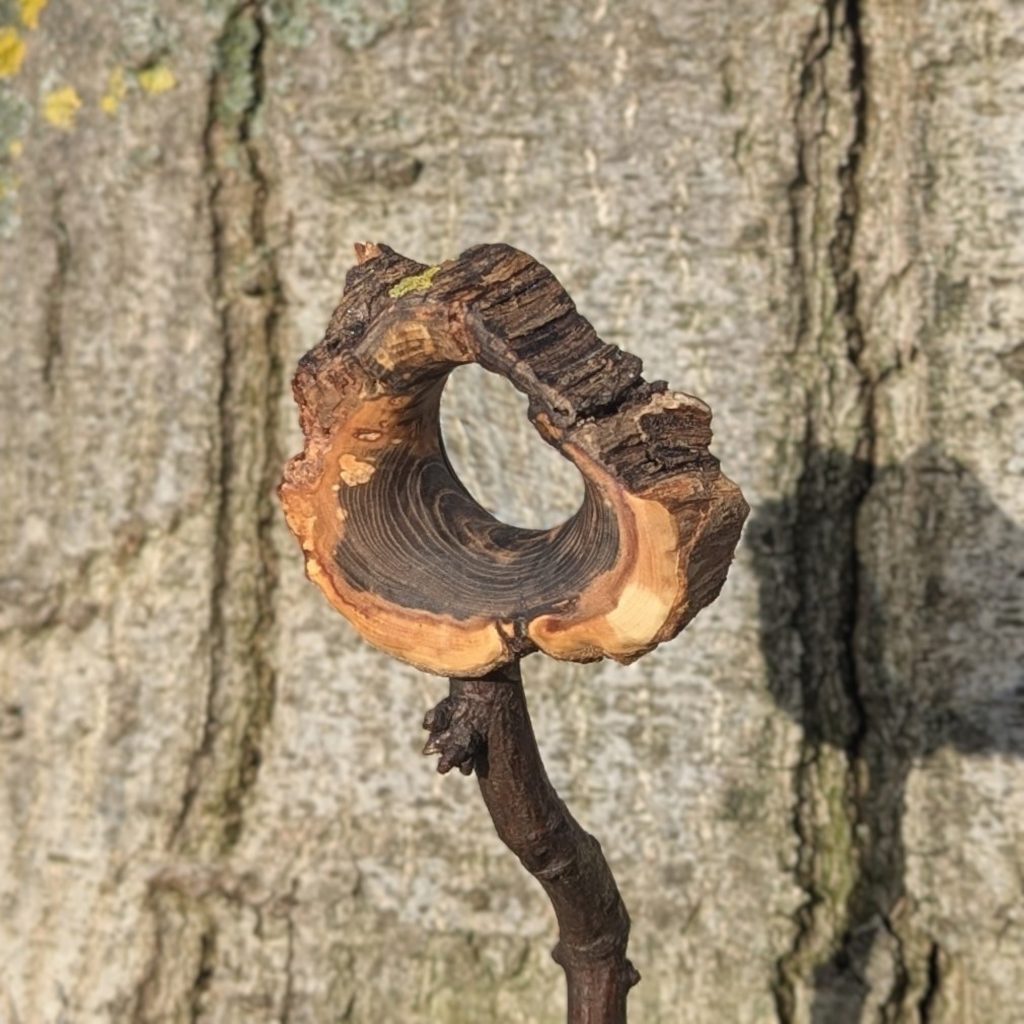 lupe in holz und kupfer