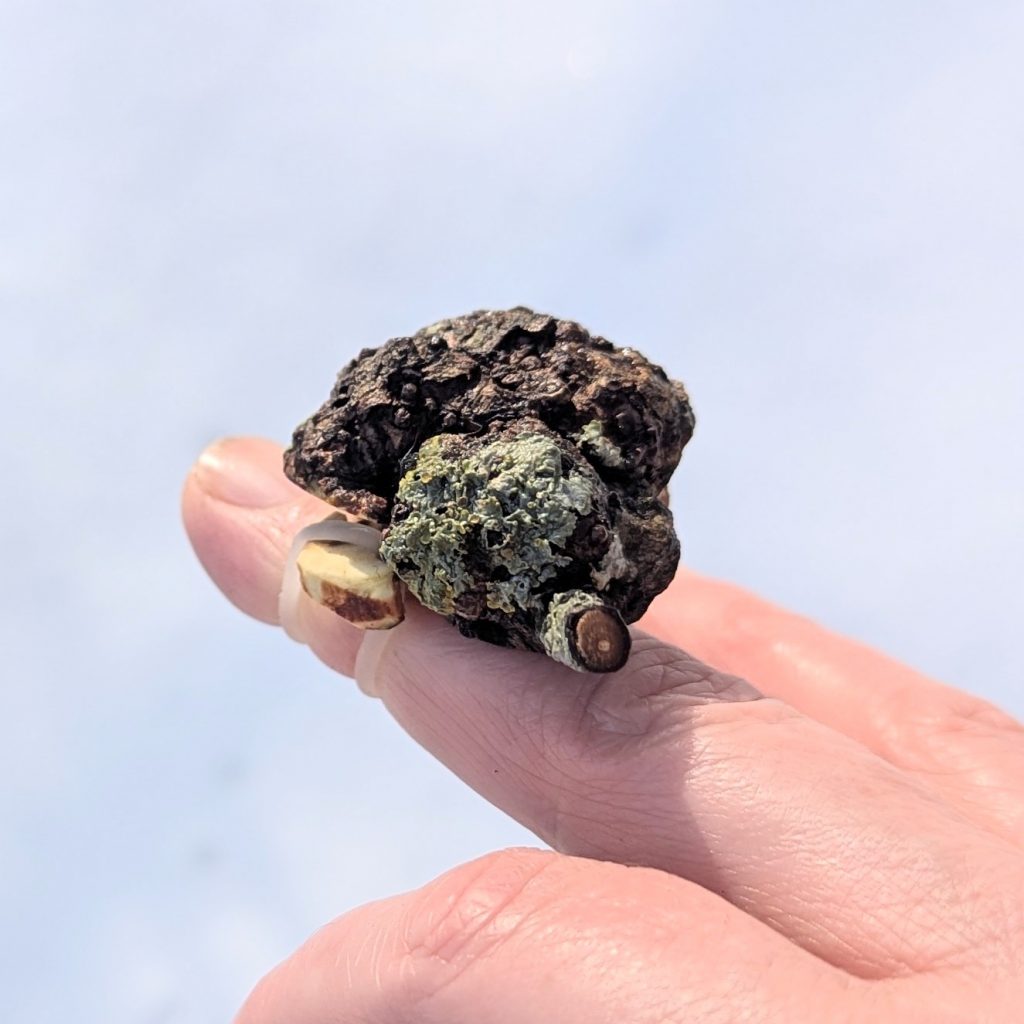 zopfhalter baumperle